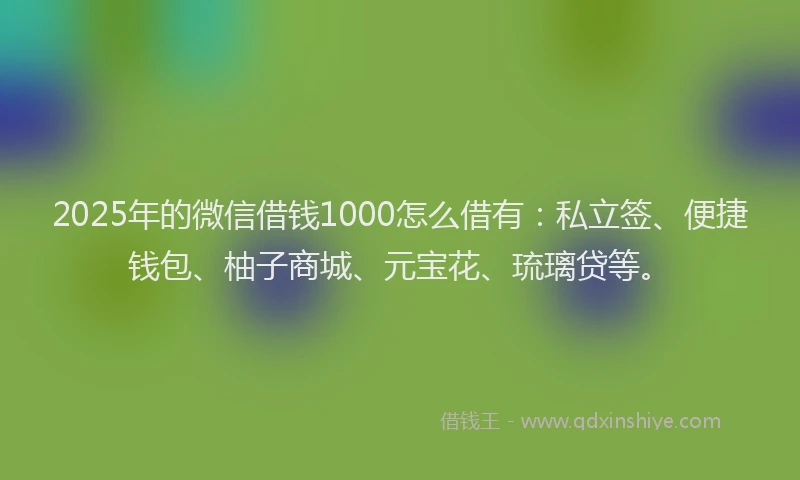2025年的微信借钱1000怎么借有：私立签、便捷钱包、柚子商城、元宝花、琉璃贷等。