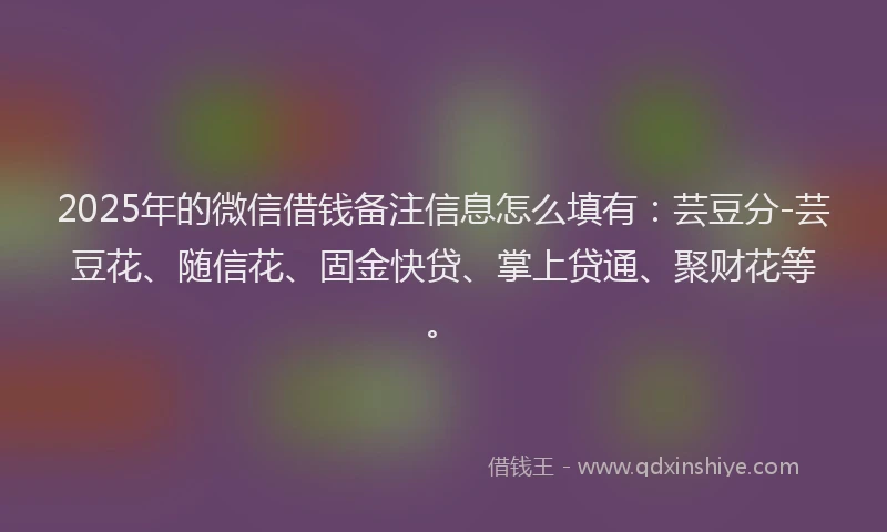 2025年的微信借钱备注信息怎么填有：芸豆分-芸豆花、随信花、固金快贷、掌上贷通、聚财花等。