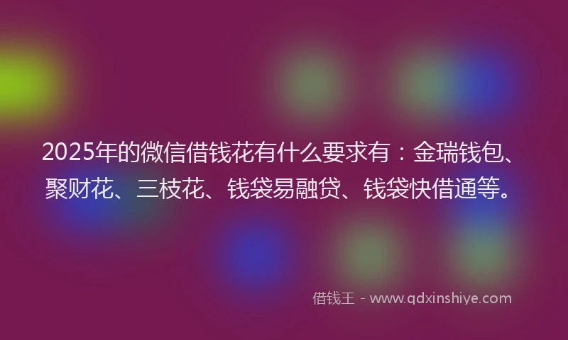 2025年的微信借钱花有什么要求有：金瑞钱包、聚财花、三枝花、钱袋易融贷、钱袋快借通等。