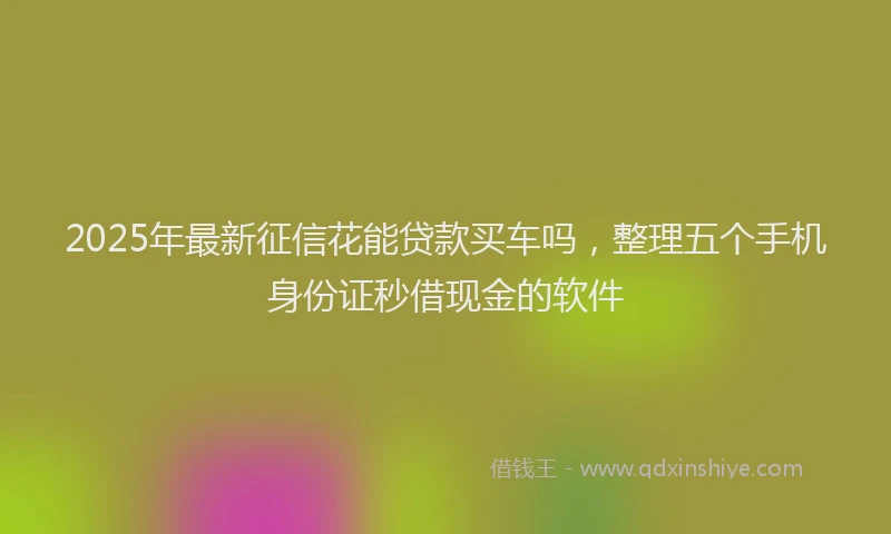 2025年最新征信花能贷款买车吗，整理五个手机身份证秒借现金的软件