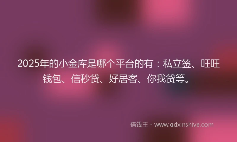 2025年的小金库是哪个平台的有：私立签、旺旺钱包、信秒贷、好居客、你我贷等。