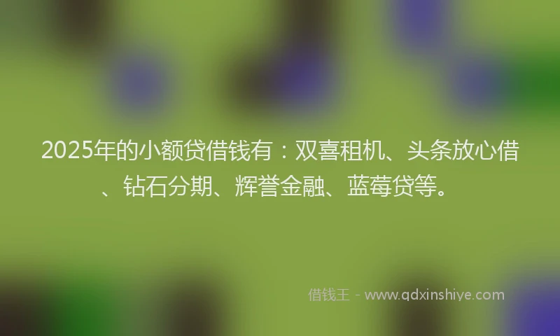 2025年的小额贷借钱有：双喜租机、头条放心借、钻石分期、辉誉金融、蓝莓贷等。