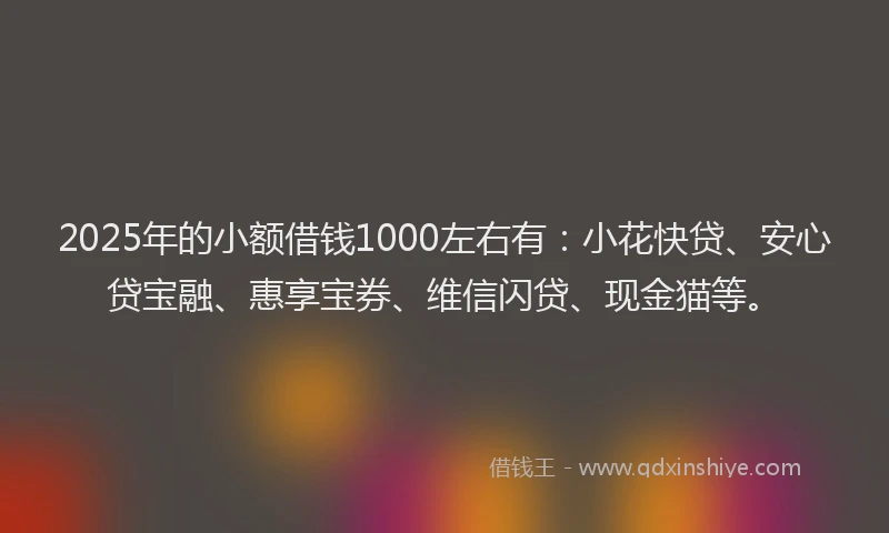 2025年的小额借钱1000左右有：小花快贷、安心贷宝融、惠享宝券、维信闪贷、现金猫等。