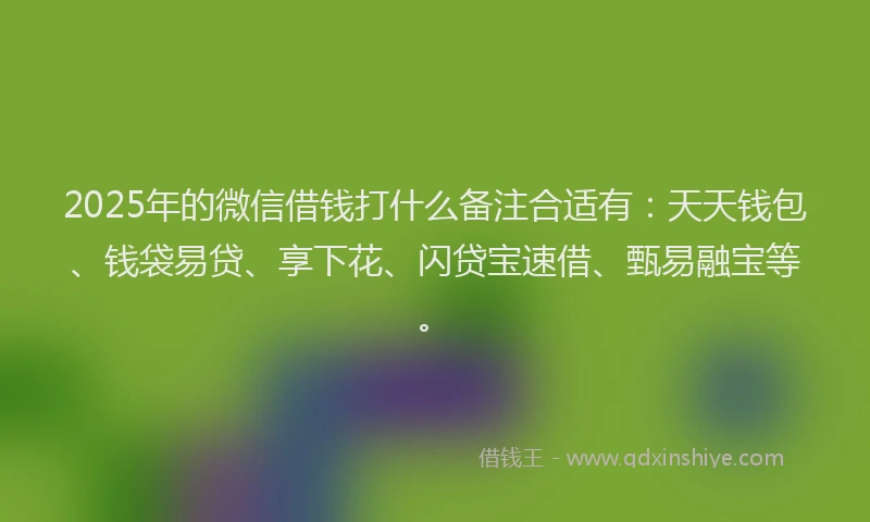 2025年的微信借钱打什么备注合适有：天天钱包、钱袋易贷、享下花、闪贷宝速借、甄易融宝等。