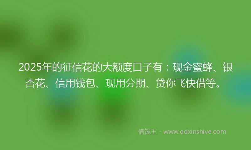 2025年的征信花的大额度口子有：现金蜜蜂、银杏花、信用钱包、现用分期、贷你飞快借等。