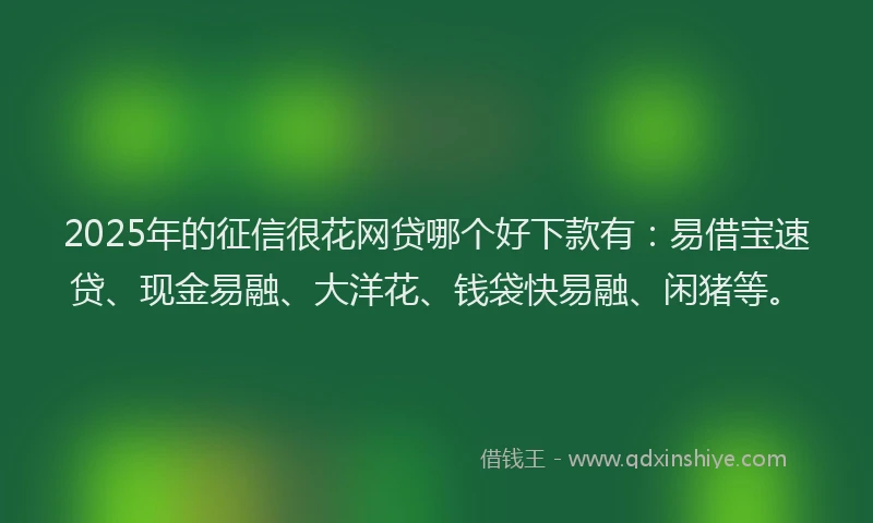 2025年的征信很花网贷哪个好下款有：易借宝速贷、现金易融、大洋花、钱袋快易融、闲猪等。