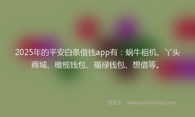 2025年的平安白条借钱app有：蜗牛租机、丫头商城、橄榄钱包、福禄钱包、想借等。