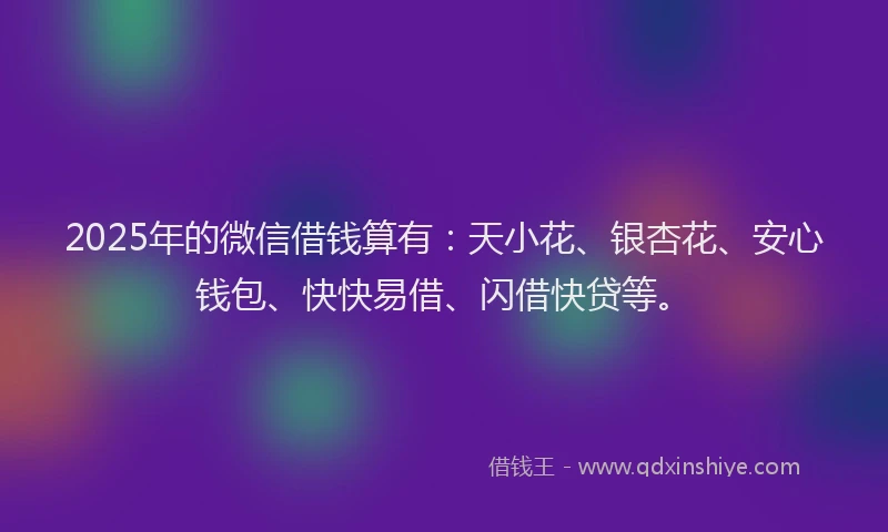 2025年的微信借钱算有：天小花、银杏花、安心钱包、快快易借、闪借快贷等。