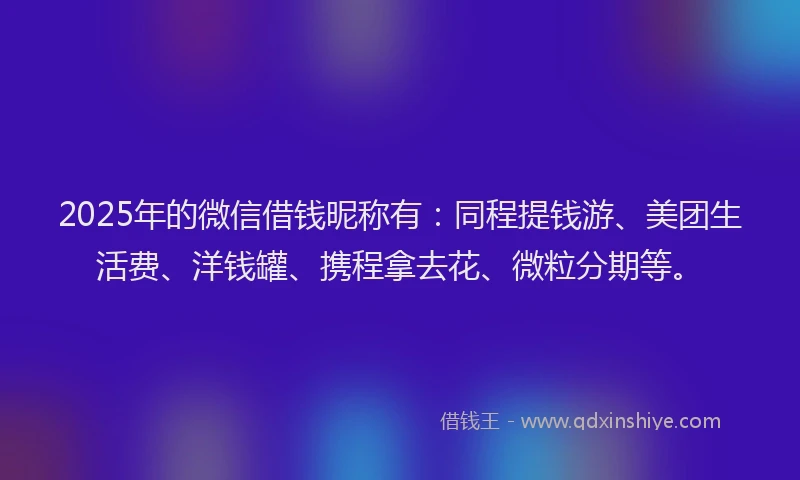 2025年的微信借钱昵称有：同程提钱游、美团生活费、洋钱罐、携程拿去花、微粒分期等。