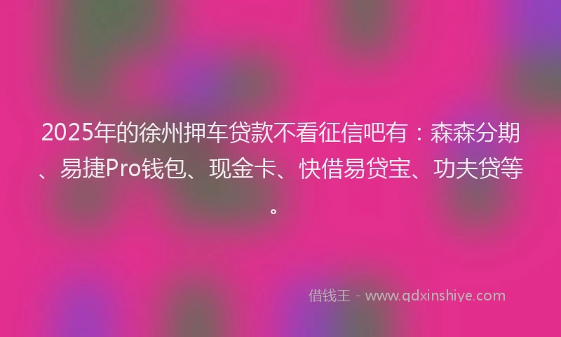 2025年的徐州押车贷款不看征信吧有：森森分期、易捷Pro钱包、现金卡、快借易贷宝、功夫贷等。