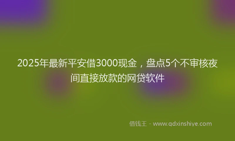 2025年最新平安借3000现金，盘点5个不审核夜间直接放款的网贷软件