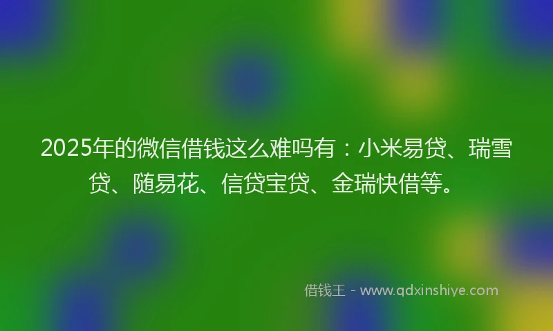 2025年的微信借钱这么难吗有：小米易贷、瑞雪贷、随易花、信贷宝贷、金瑞快借等。