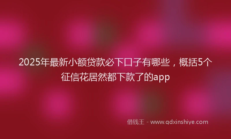 2025年最新小额贷款必下口子有哪些，概括5个征信花居然都下款了的app