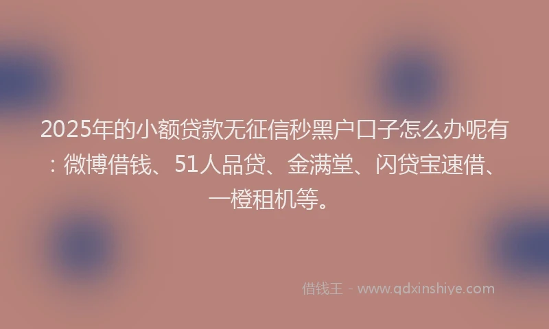 2025年的小额贷款无征信秒黑户口子怎么办呢有：微博借钱、51人品贷、金满堂、闪贷宝速借、一橙租机等。
