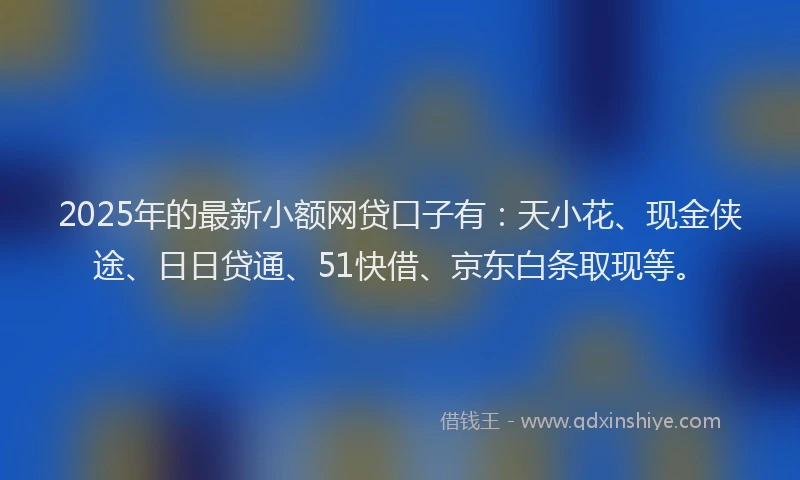 2025年的最新小额网贷口子有：天小花、现金侠途、日日贷通、51快借、京东白条取现等。