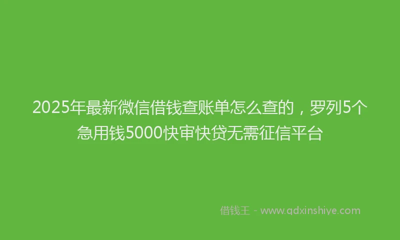 2025年最新微信借钱查账单怎么查的，罗列5个急用钱5000快审快贷无需征信平台
