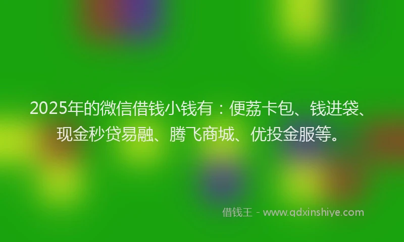 2025年的微信借钱小钱有：便荔卡包、钱进袋、现金秒贷易融、腾飞商城、优投金服等。