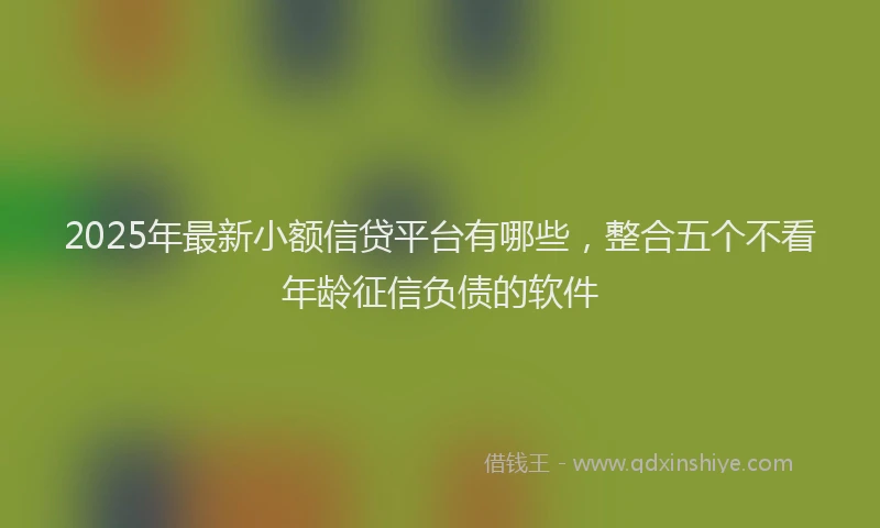 2025年最新小额信贷平台有哪些，整合五个不看年龄征信负债的软件