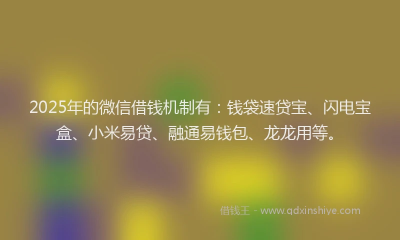 2025年的微信借钱机制有：钱袋速贷宝、闪电宝盒、小米易贷、融通易钱包、龙龙用等。