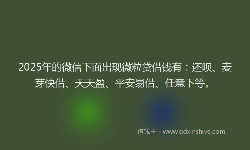 2025年的微信下面出现微粒贷借钱有：还呗、麦芽快借、天天盈、平安易借、任意下等。