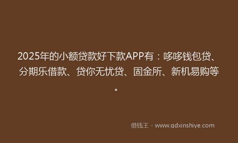 2025年的小额贷款好下款APP有：哆哆钱包贷、分期乐借款、贷你无忧贷、固金所、新机易购等。