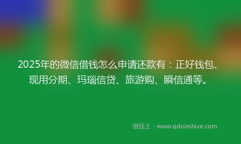 2025年的微信借钱怎么申请还款有：正好钱包、现用分期、玛瑙信贷、旅游购、瞬信通等。