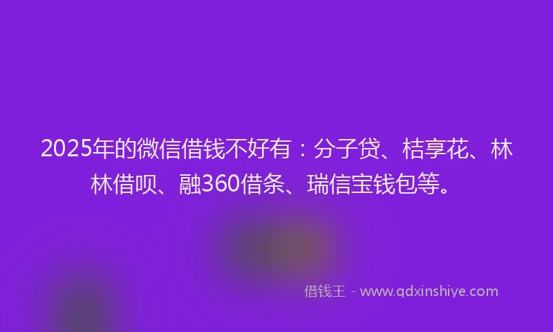 2025年的微信借钱不好有：分子贷、桔享花、林林借呗、融360借条、瑞信宝钱包等。