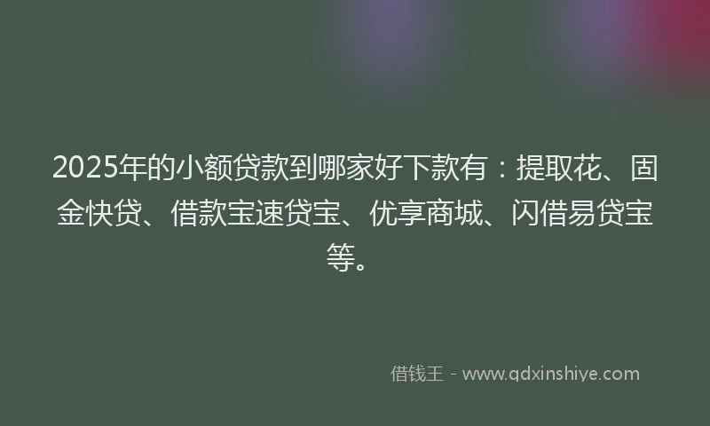 2025年的小额贷款到哪家好下款有：提取花、固金快贷、借款宝速贷宝、优享商城、闪借易贷宝等。
