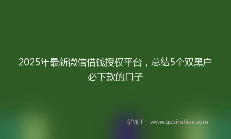 2025年最新微信借钱授权平台，总结5个双黑户必下款的口子
