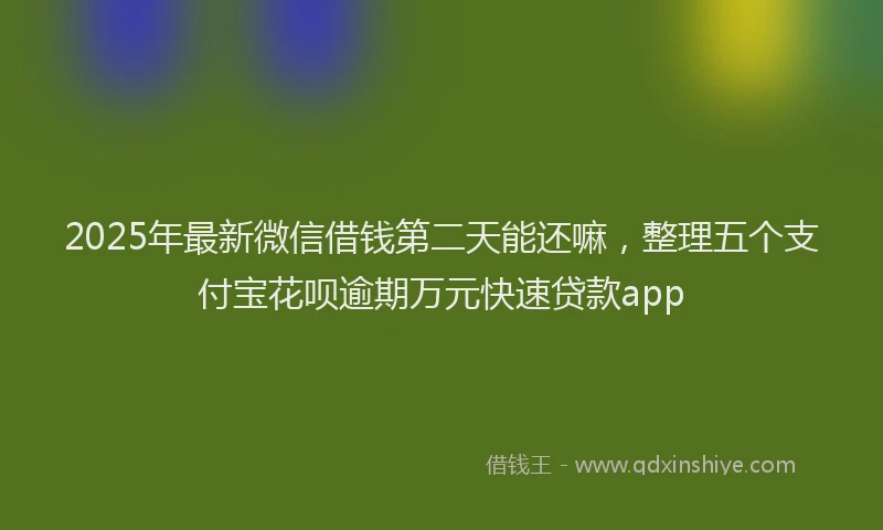 2025年最新微信借钱第二天能还嘛，整理五个支付宝花呗逾期万元快速贷款app