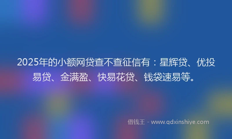 2025年的小额网贷查不查征信有：星辉贷、优投易贷、金满盈、快易花贷、钱袋速易等。