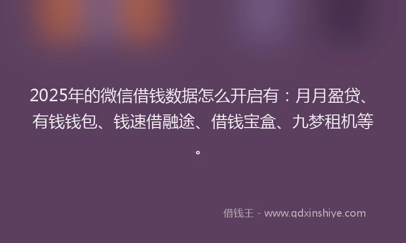 2025年的微信借钱数据怎么开启有：月月盈贷、有钱钱包、钱速借融途、借钱宝盒、九梦租机等。