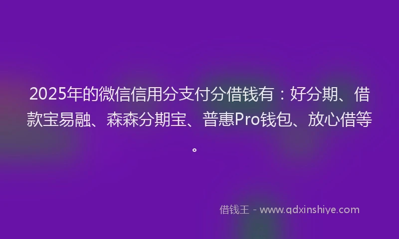 2025年的微信信用分支付分借钱有：好分期、借款宝易融、森森分期宝、普惠Pro钱包、放心借等。