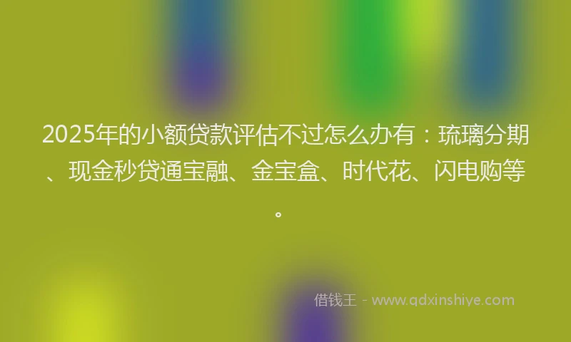 2025年的小额贷款评估不过怎么办有：琉璃分期、现金秒贷通宝融、金宝盒、时代花、闪电购等。