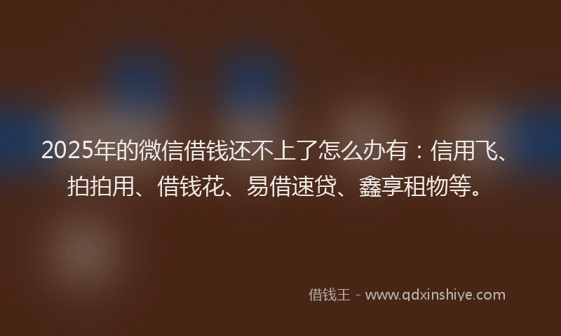 2025年的微信借钱还不上了怎么办有：信用飞、拍拍用、借钱花、易借速贷、鑫享租物等。