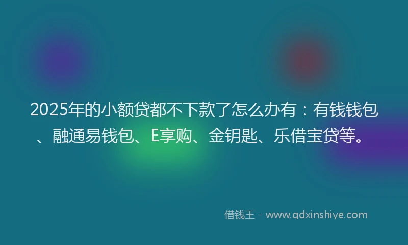 2025年的小额贷都不下款了怎么办有：有钱钱包、融通易钱包、E享购、金钥匙、乐借宝贷等。