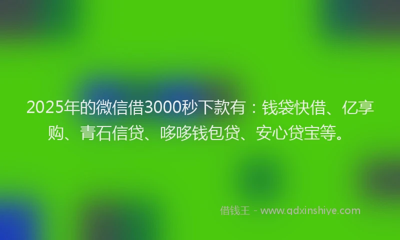 2025年的微信借3000秒下款有：钱袋快借、亿享购、青石信贷、哆哆钱包贷、安心贷宝等。