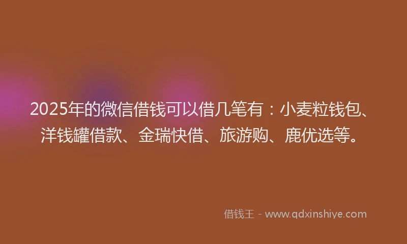 2025年的微信借钱可以借几笔有：小麦粒钱包、洋钱罐借款、金瑞快借、旅游购、鹿优选等。
