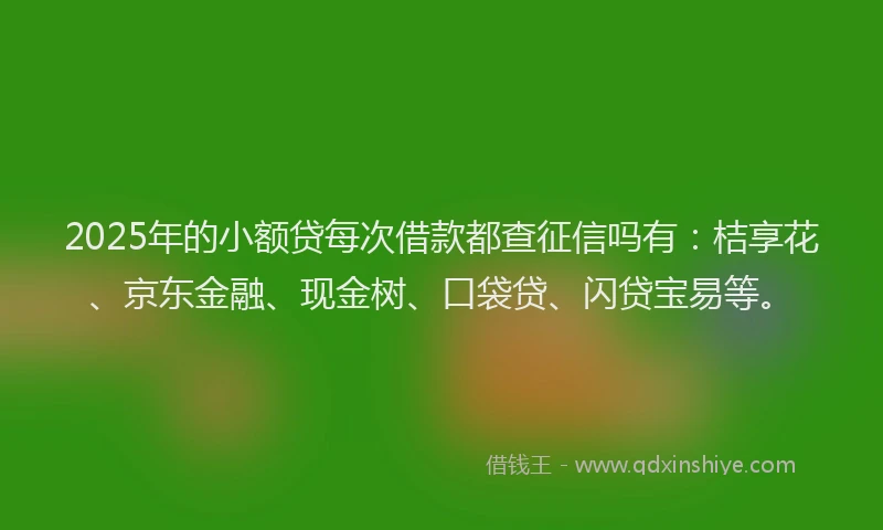 2025年的小额贷每次借款都查征信吗有：桔享花、京东金融、现金树、口袋贷、闪贷宝易等。