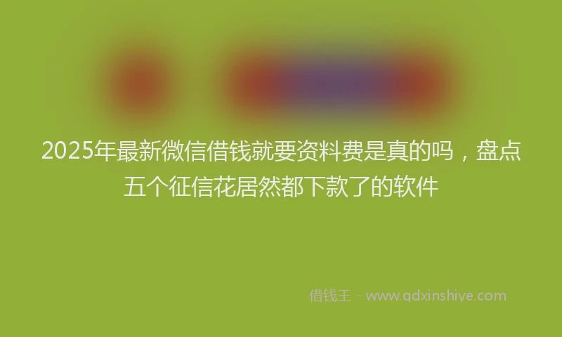 2025年最新微信借钱就要资料费是真的吗，盘点五个征信花居然都下款了的软件