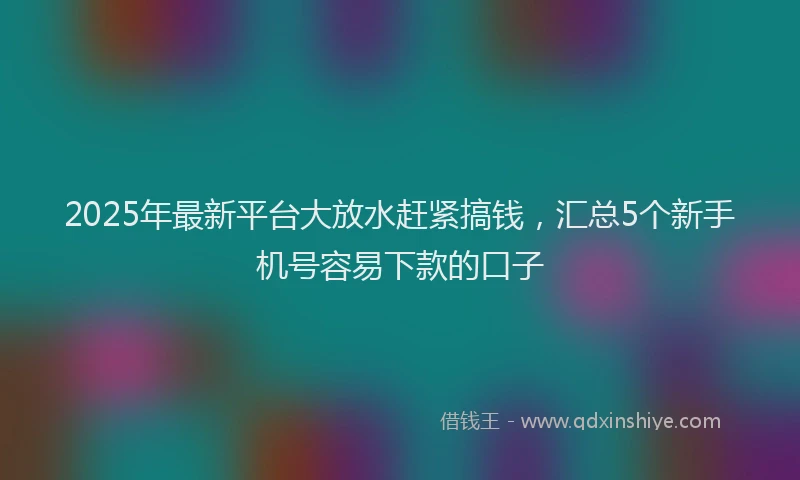 2025年最新平台大放水赶紧搞钱，汇总5个新手机号容易下款的口子