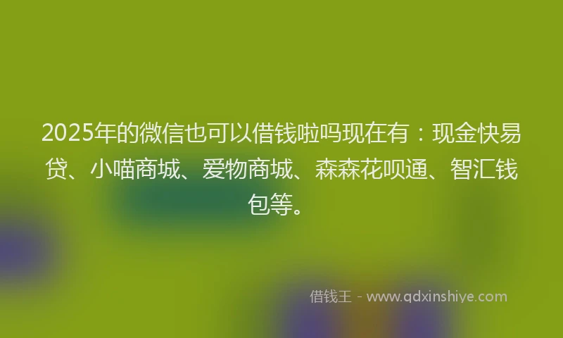 2025年的微信也可以借钱啦吗现在有：现金快易贷、小喵商城、爱物商城、森森花呗通、智汇钱包等。