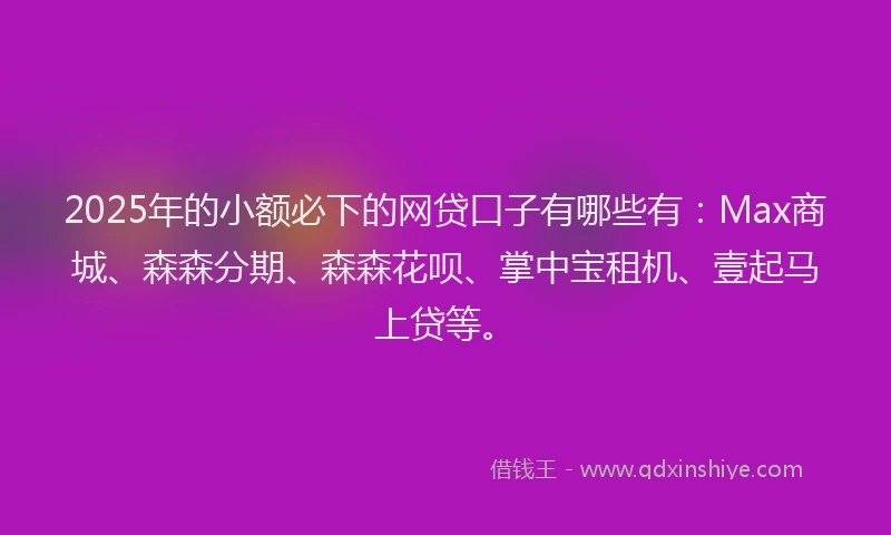 2025年的小额必下的网贷口子有哪些有：Max商城、森森分期、森森花呗、掌中宝租机、壹起马上贷等。