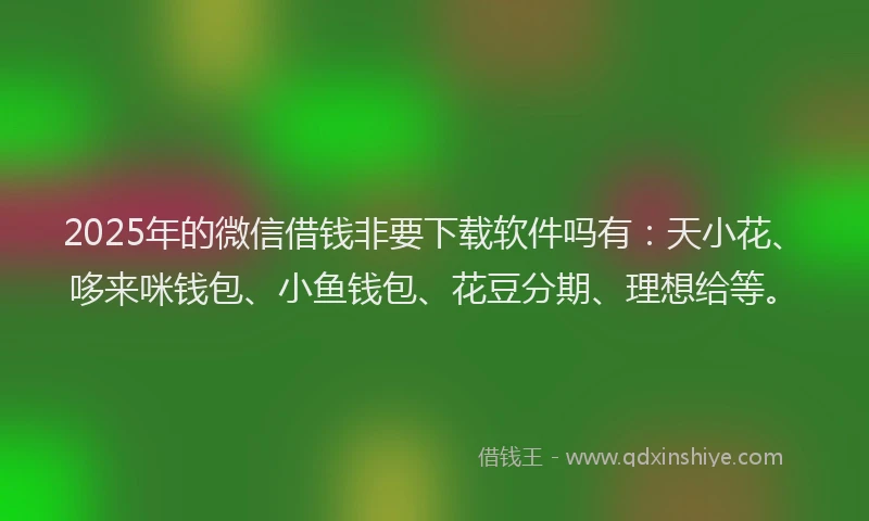 2025年的微信借钱非要下载软件吗有：天小花、哆来咪钱包、小鱼钱包、花豆分期、理想给等。