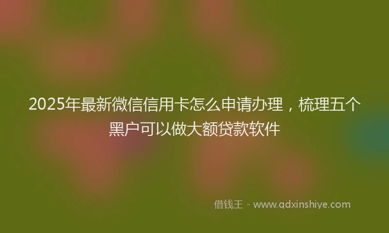 2025年最新微信信用卡怎么申请办理，梳理五个黑户可以做大额贷款软件