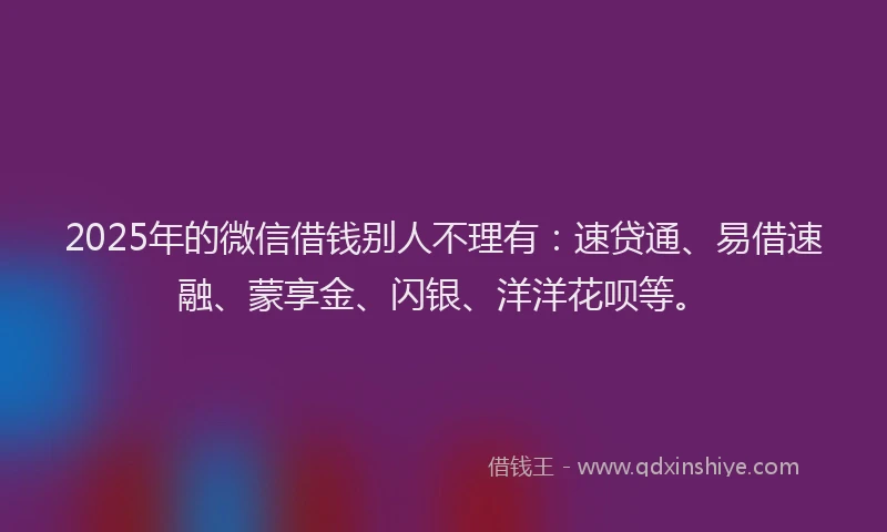 2025年的微信借钱别人不理有：速贷通、易借速融、蒙享金、闪银、洋洋花呗等。