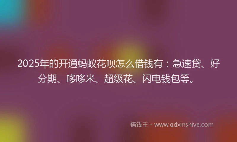 2025年的开通蚂蚁花呗怎么借钱有：急速贷、好分期、哆哆米、超级花、闪电钱包等。