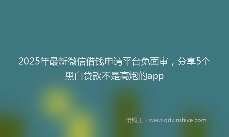 2025年最新微信借钱申请平台免面审，分享5个黑白贷款不是高炮的app