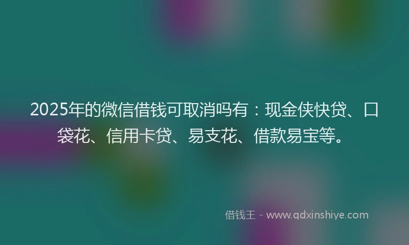 2025年的微信借钱可取消吗有：现金侠快贷、口袋花、信用卡贷、易支花、借款易宝等。