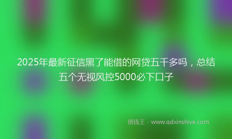 2025年最新征信黑了能借的网贷五千多吗，总结五个无视风控5000必下口子